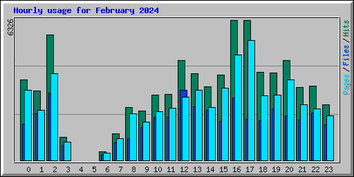 Hourly usage for February 2024