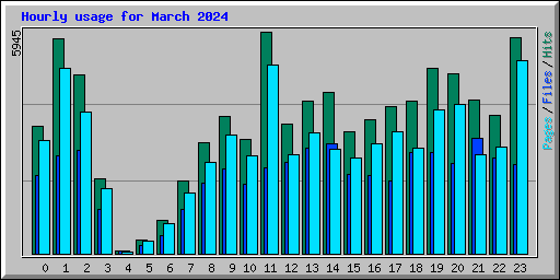 Hourly usage for March 2024