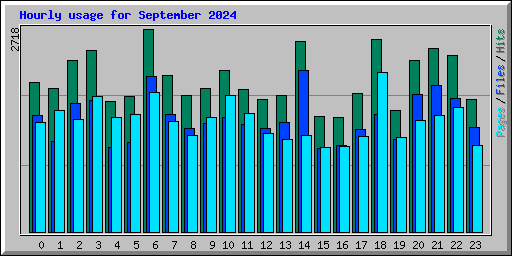 Hourly usage for September 2024