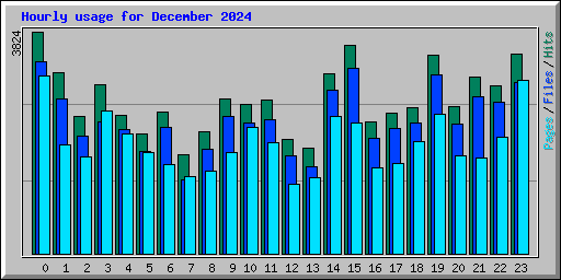 Hourly usage for December 2024
