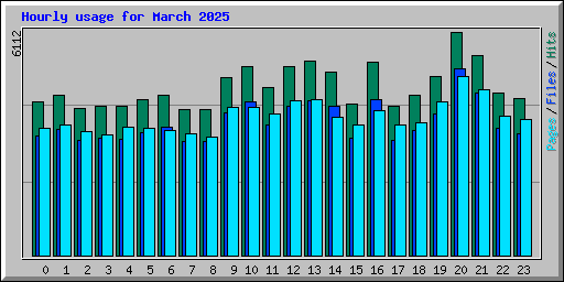Hourly usage for March 2025