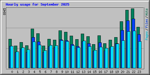 Hourly usage for September 2025