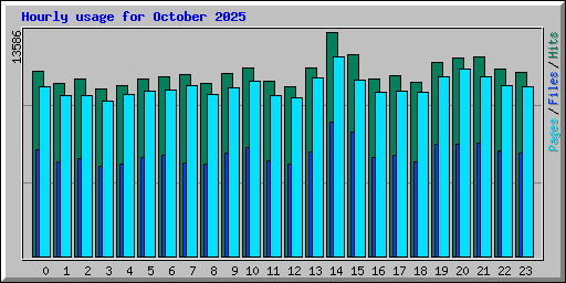 Hourly usage for October 2025