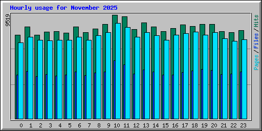 Hourly usage for November 2025