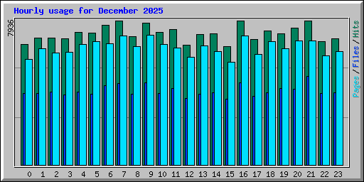 Hourly usage for December 2025