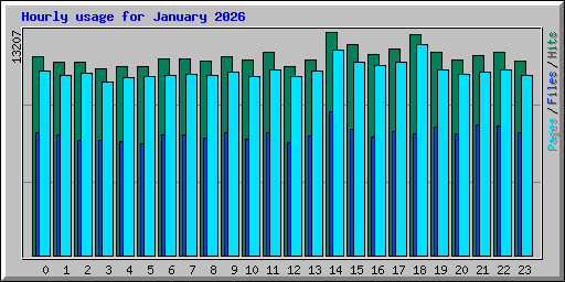 Hourly usage for January 2026