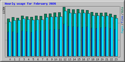 Hourly usage for February 2026