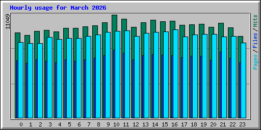Hourly usage for March 2026
