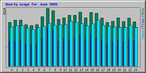 Hourly usage for June 2026