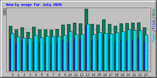 Hourly usage for July 2026