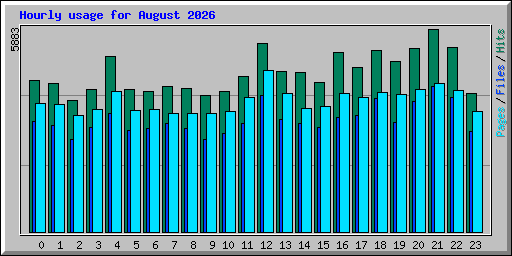 Hourly usage for August 2026