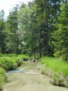 Natur Weissenbach