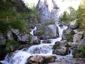 Silberkarklamm