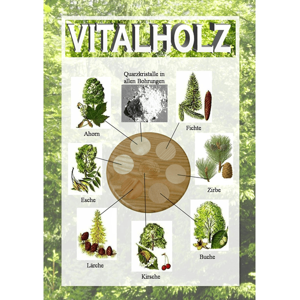 Cover Vitalholz Buch