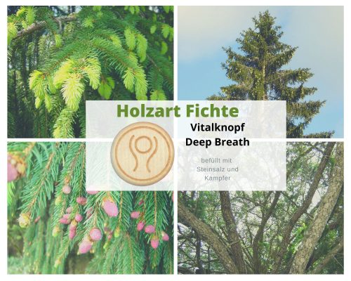 Vitalknopf Deep Breath Fichte