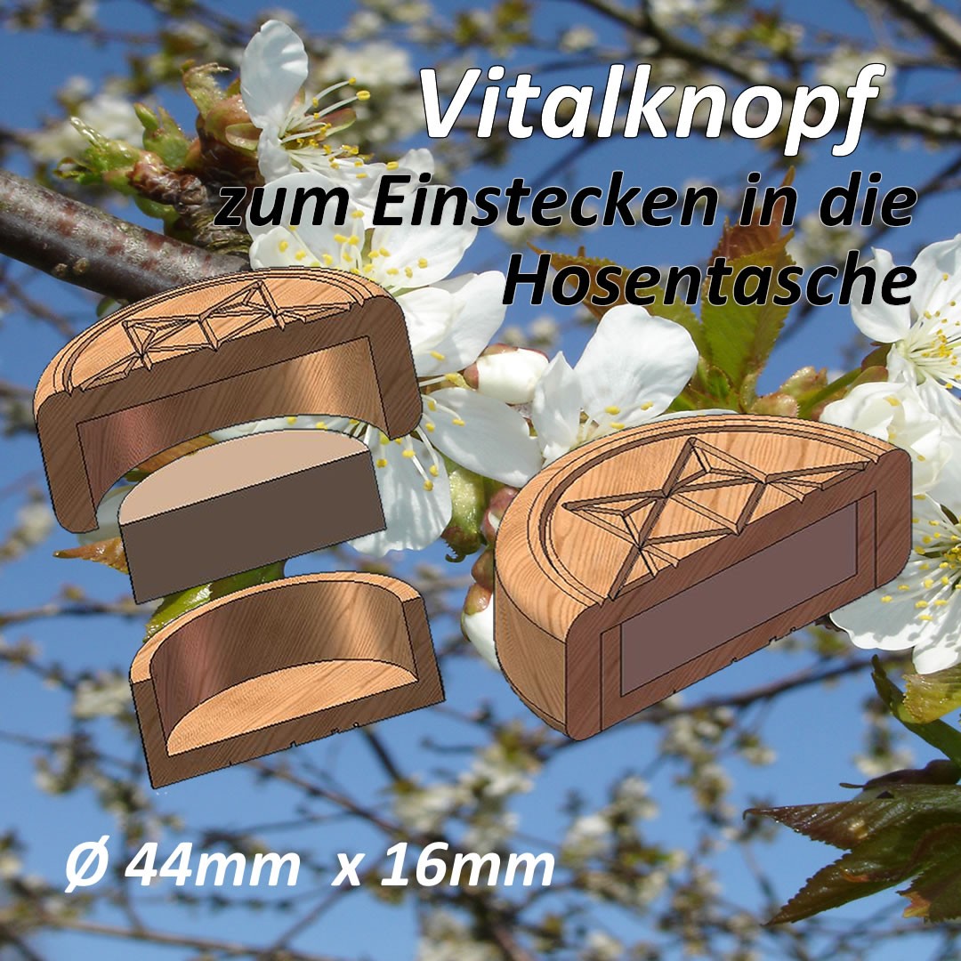 Vitalknopf Aufbau