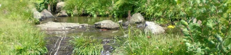 Wasserbelebung Vitalholz