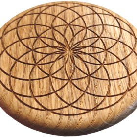 Symbol Lotus ISO Blitzholz